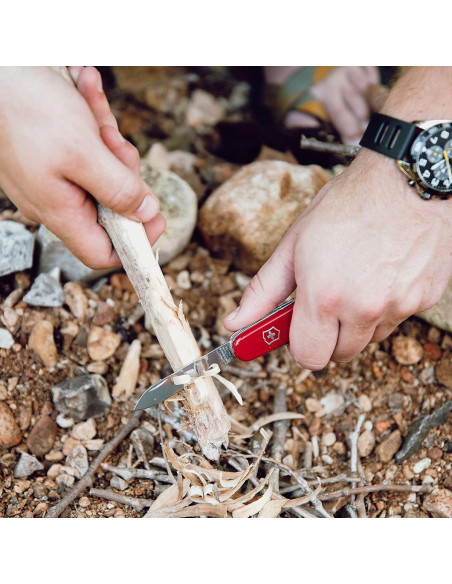 Pinzas Pequeñas Victorinox de Acero Inoxidable - Compactas