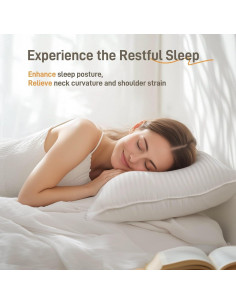 Juego de 2 Almohadas Hipoalergénicas Lyralith King Algodón 2