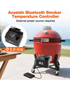 Controlador de Temperatura Bluetooth Acesidn para BBQ 0-300C 2