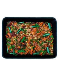 Relleno Sensorial de Dinosaurio - Arroz Coloreado 4 Tazas