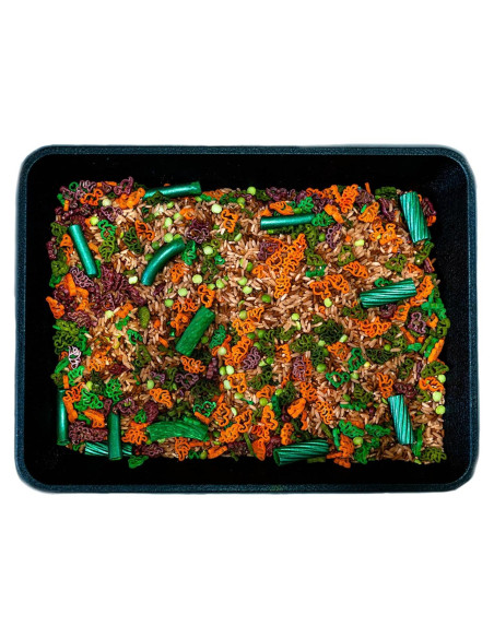 Relleno Sensorial de Dinosaurio - Arroz Coloreado 4 Tazas