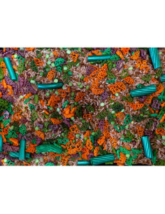 Relleno Sensorial de Dinosaurio - Arroz Coloreado 4 Tazas 2