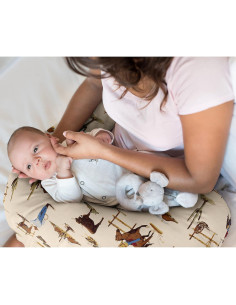 Funda de Almohada de Lactancia Sweet Jojo Designs 63.5x43.8cm 2