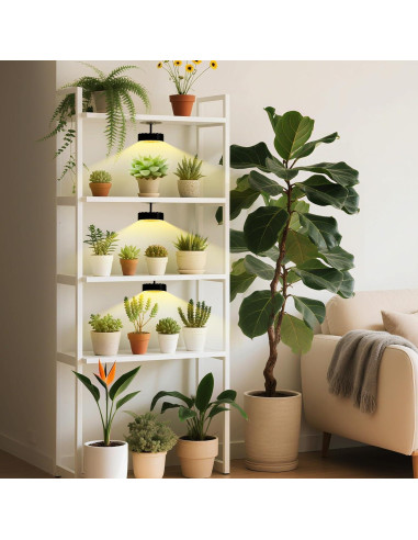 Luces de Crecimiento LED Dotoya con Ventilador y Temporizador