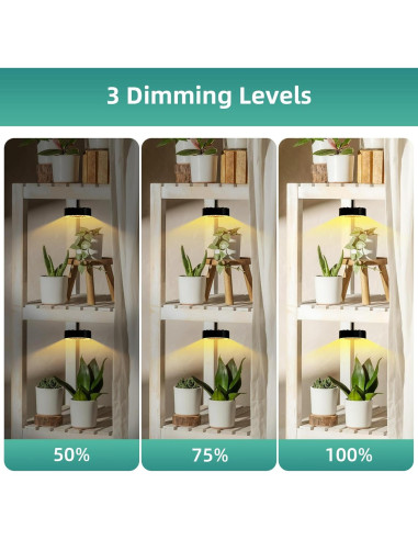 Luces de Crecimiento LED Dotoya con Ventilador y Temporizador