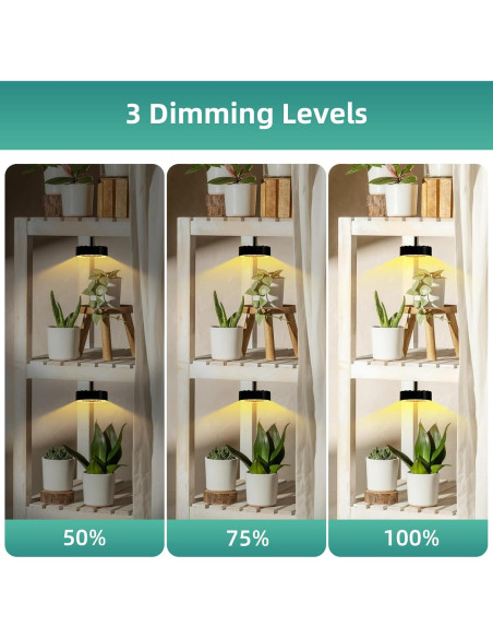 Luces de Crecimiento LED Dotoya con Ventilador y Temporizador