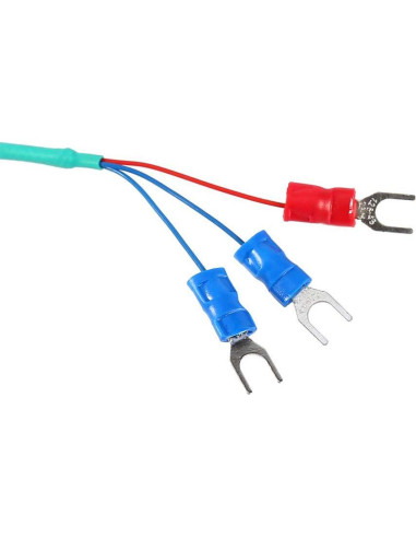 Sonda de Temperatura RTD PT100 Fafeicy 2m Rosca NPT 1/2"