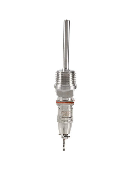 Sonda de Temperatura RTD PT100 Fafeicy 2m Rosca NPT 1/2"