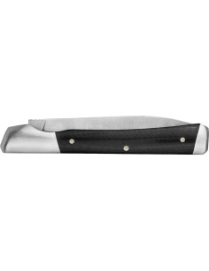 Cuchillo de bolsillo Kershaw Allegory, 2 hojas, micarta, 18.03 cm 2
