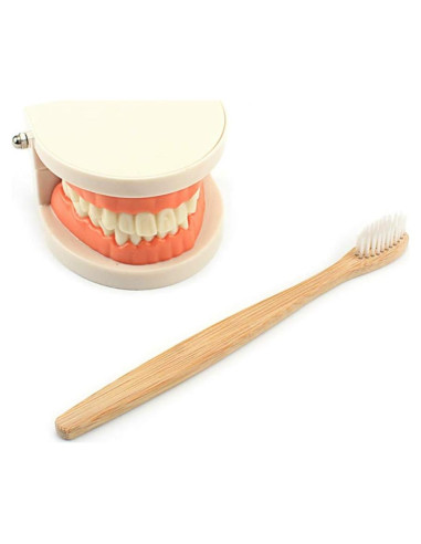 Juguete Educativo DANNI Montessori Cepillado de Dientes 25x20cm