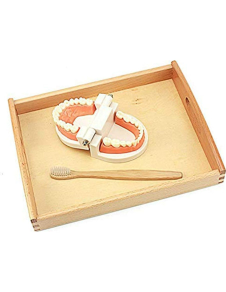 Juguete Educativo DANNI Montessori Cepillado de Dientes 25x20cm Juguete Educativo DANNI Montessori Cepillado de Dientes 25x20cm