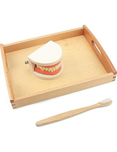 Juguete Educativo DANNI Montessori Cepillado de Dientes 25x20cm