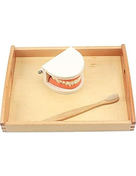 Juguete Educativo DANNI Montessori Cepillado de Dientes 25x20cm Juguete Educativo DANNI Montessori Cepillado de Dientes 25x20cm