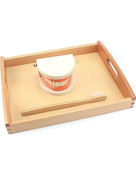 Juguete Educativo DANNI Montessori Cepillado de Dientes 25x20cm Juguete Educativo DANNI Montessori Cepillado de Dientes 25x20cm