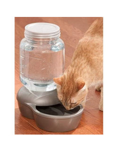 Dispensador de Agua Petmate Replendish 3.78L para Mascotas 2