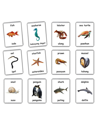 Tarjetas de Flash Laminadas Animales Marinos - 26 Piezas Bilingües