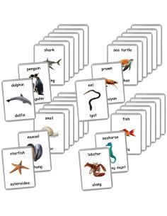 Tarjetas de Flash Laminadas Animales Marinos - 26 Piezas Bilingües 2