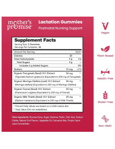 Gomitas Veganas Promesa de Madre para Aumento de Leche Materna 2
