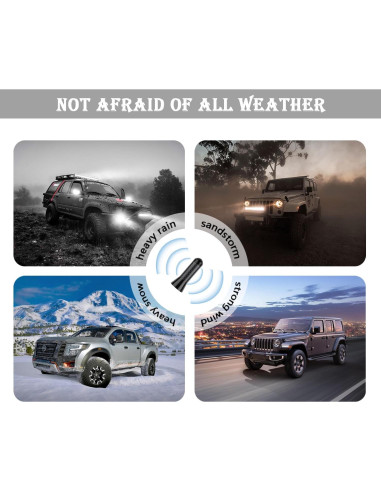 Antena de Coche YGDMD Fibra de Carbono Negra 9.30x3.61cm