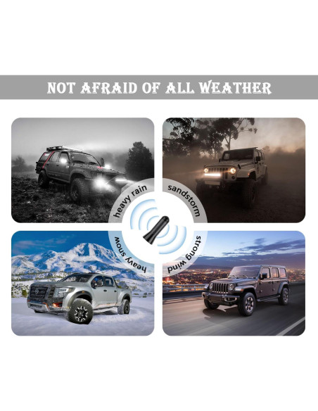 Antena de Coche YGDMD Fibra de Carbono Negra 9.30x3.61cm