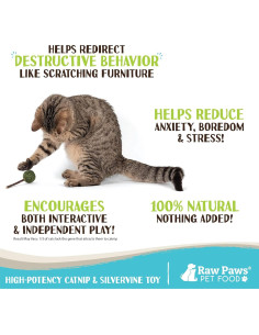 Chupetines de Catnip y Silvervine Raw Paws - Paquete de 6 2