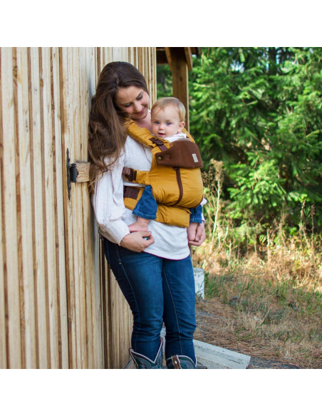 Portabebés Ergonómico LÍLLÉbaby Serenity 6-en-1, Soporte Lumbar