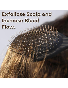 Cepillo Antiestático WeiLa Ovalado para Cabello y Pelucas - Violeta 2