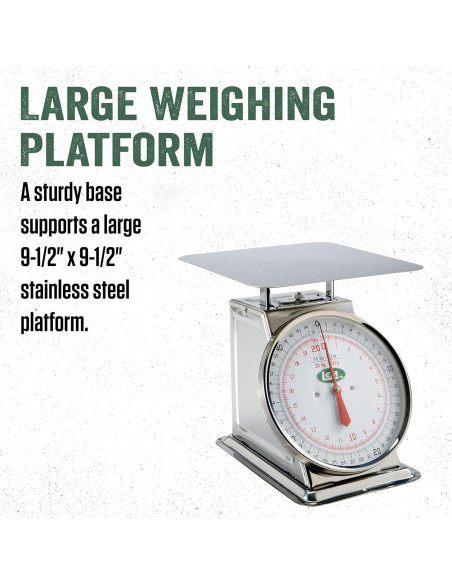 Escala de Acero Inoxidable LEM 20 kg, Dial 20 cm, 24x24 cm