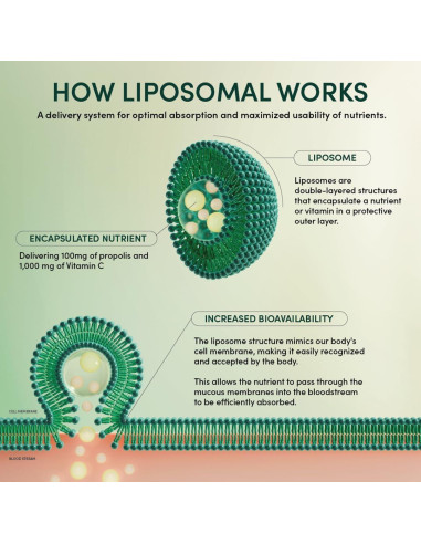 Vitamina C Liposomal Beekeeper's Naturals 1000mg 12 Paquetes