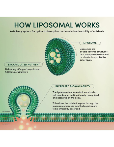 Vitamina C Liposomal Beekeeper's Naturals 1000mg 12 Paquetes