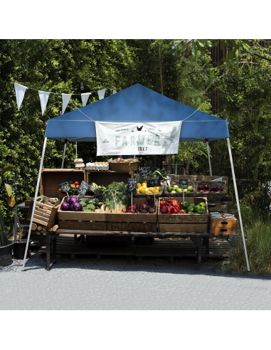 Carpa Plegable Impermeable Gearvato 3x3m Azul para Eventos