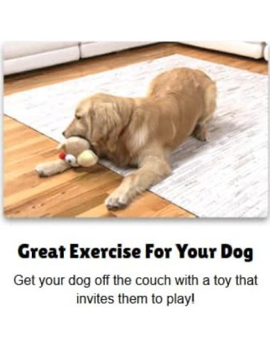 Juguete Interactivo para Perros GaZoos Beau Bunny 12.7cm