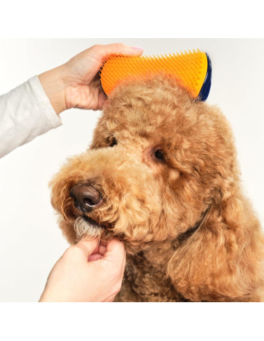 Cepillo Desenredante Pet Teezer Tangle Teezer Grande Azul/Naranja