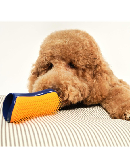 Cepillo Desenredante Pet Teezer Tangle Teezer Grande Azul/Naranja