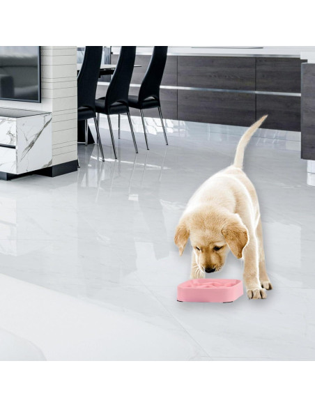 Cuencos de Comida Lenta Jaczora para Perros y Gatos - 2 Pack Rosa Cuencos de Comida Lenta Jaczora para Perros y Gatos - 2 Pack Rosa