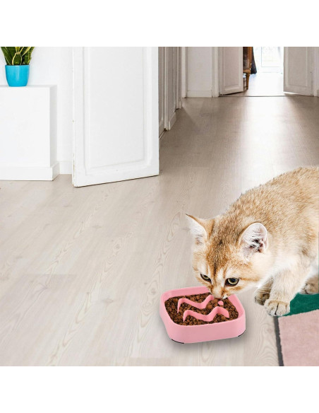 Cuencos de Comida Lenta Jaczora para Perros y Gatos - 2 Pack Rosa Cuencos de Comida Lenta Jaczora para Perros y Gatos - 2 Pack Rosa
