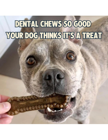 Masticables Dentales Jiminy's para Perros Pequeños, Canela, 20 Unidades