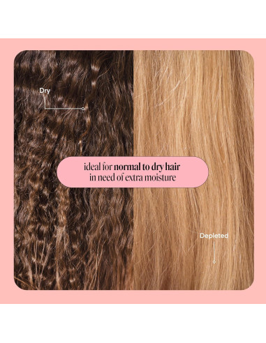 Champú MOISTURE Monday Haircare 354 mL Ácido Hialurónico