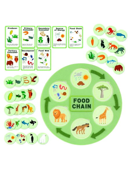 Juguetes de Ciclo de Vida Montessori Natalieenati - 31 Tarjetas