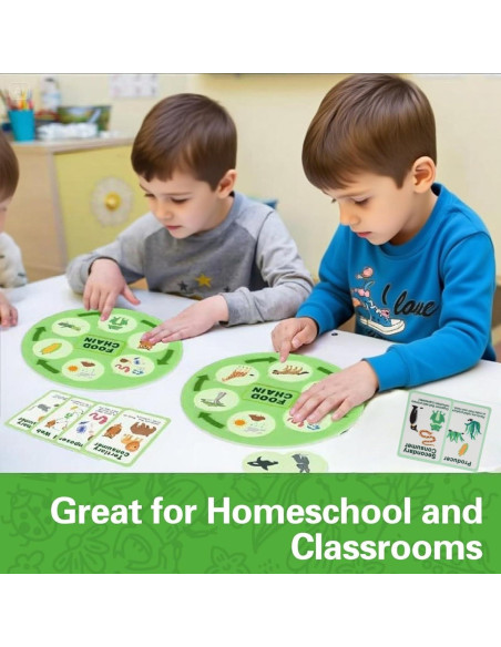 Juguetes de Ciclo de Vida Montessori Natalieenati - 31 Tarjetas