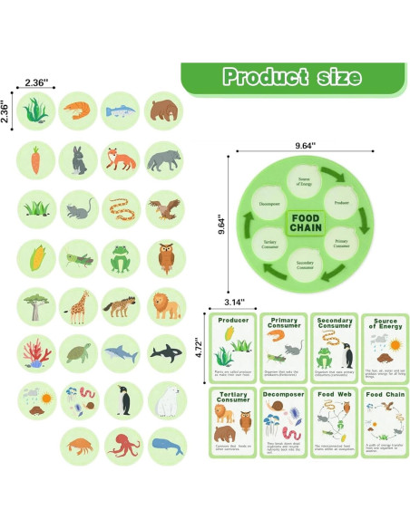 Juguetes de Ciclo de Vida Montessori Natalieenati - 31 Tarjetas
