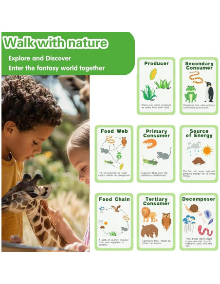 Juguetes de Ciclo de Vida Montessori Natalieenati - 31 Tarjetas