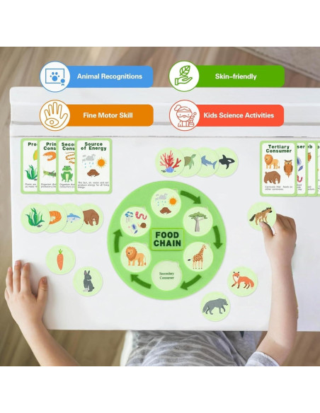 Juguetes de Ciclo de Vida Montessori Natalieenati - 31 Tarjetas