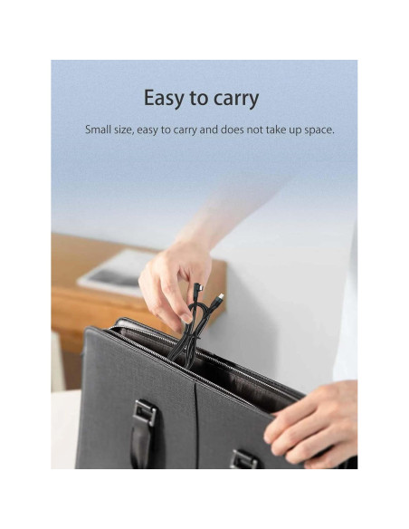 Cargador Tipo-C 2 Pack para Sonos Roam 2 - 1m Negro