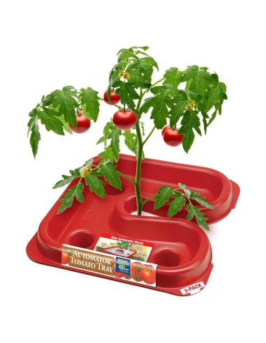 Bandeja de Tomate Dalen Gardeneer 30.48x30.48 cm - Paquete de 3