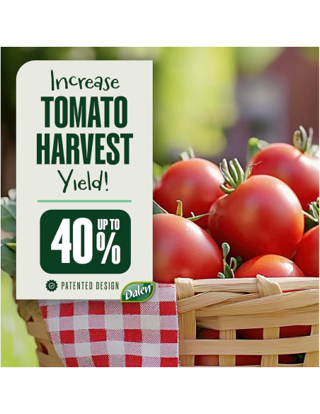 Bandeja de Tomate Dalen Gardeneer 30.48x30.48 cm - Paquete de 3