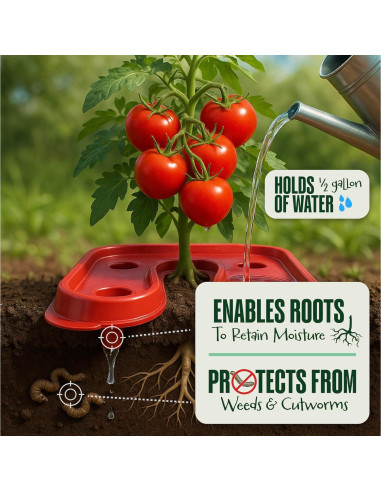 Bandeja de Tomate Dalen Gardeneer 30.48x30.48 cm - Paquete de 3