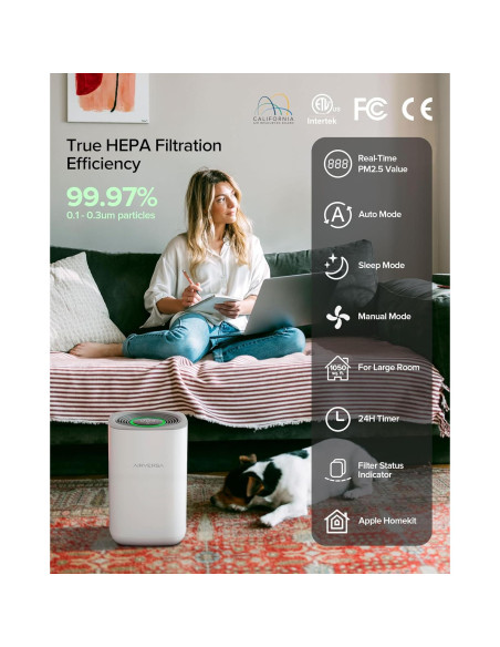 Purificador de Aire Inteligente Airversa AP2 H13 HEPA 1000 m