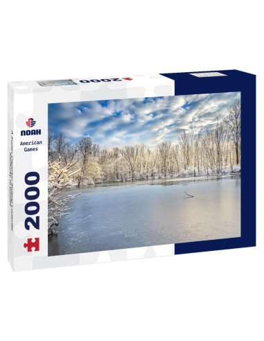 Rompecabezas 2000 Piezas Noah Caperton Swamp Congelado