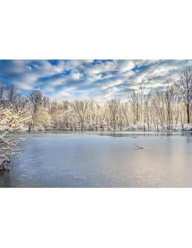 Rompecabezas 2000 Piezas Noah Caperton Swamp Congelado